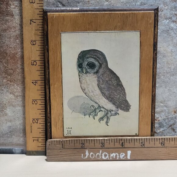Vintage Framed Print The Little Owl Albrecht Durer - Picture 9 of 10